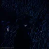 Стикер 51 The Substance