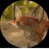 🤩 Эмодзи «The Little Prince» для Telegram