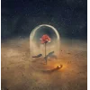 🤩 Эмодзи «The Little Prince» для Telegram