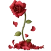 🥀 Эмодзи «The Little Prince» для Telegram