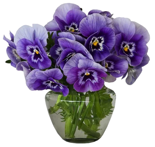 Стикерпак The Violet Flower для Telegram