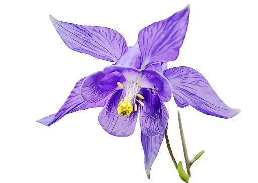 💙 Стикер «The Violet Flower» для Telegram