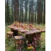 Стикер 23 Природа