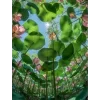 Стикер 29 Природа