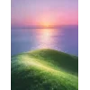 Стикер 30 Природа