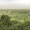 Стикер 12 Природа