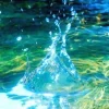 Стикер 10 Природа