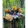 Стикер 25 Природа