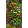 Стикер 40 Природа