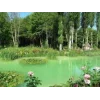 Стикер 60 Природа