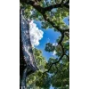 Стикер 45 Природа