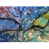Стикер 50 Природа