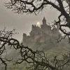 Стикер 3 Природа