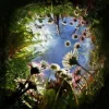 Стикер 8 Природа
