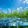 Стикер 11 Природа