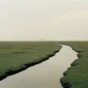 Стикер 17 Природа