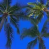 Стикер 7 Природа
