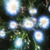 Стикер 2 Природа