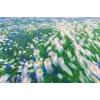 Стикер 48 Природа