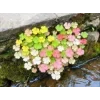 Стикер 53 Природа