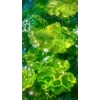 Стикер 41 Природа