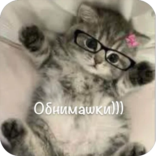 🫥 Стикер «This is my» для Telegram