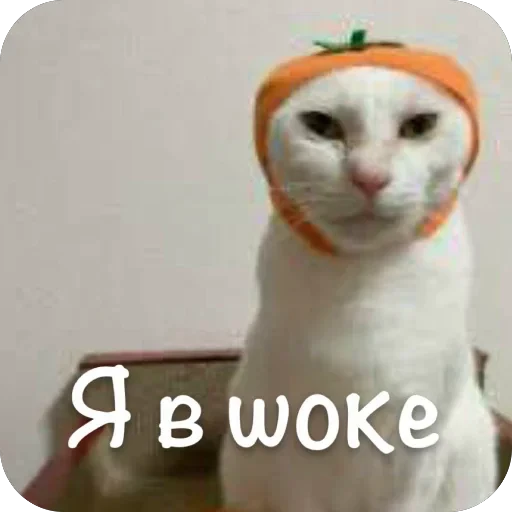 🫥 Стикер «This is my» для Telegram