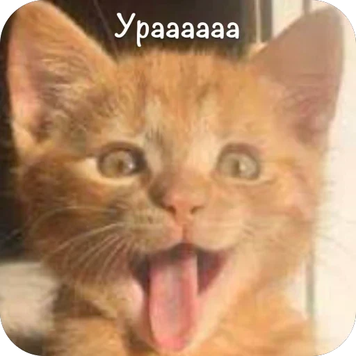 🫥 Стикер «This is my» для Telegram