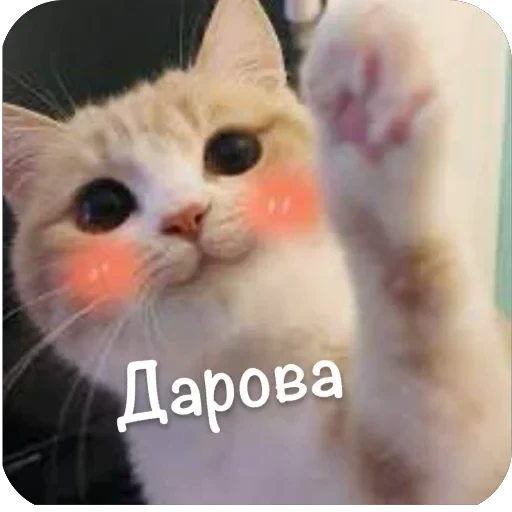 🫥 Стикер «This is my» для Telegram