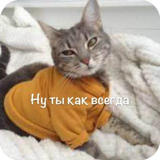 🫥 Стикер «This is my» для Telegram