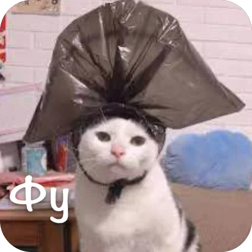🫥 Стикер «This is my» для Telegram