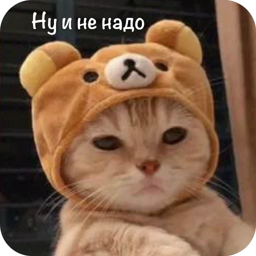 🫥 Стикер «This is my» для Telegram