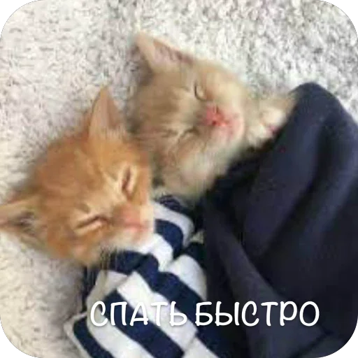 🫥 Стикер «This is my» для Telegram