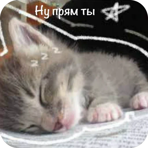 🫥 Стикер «This is my» для Telegram