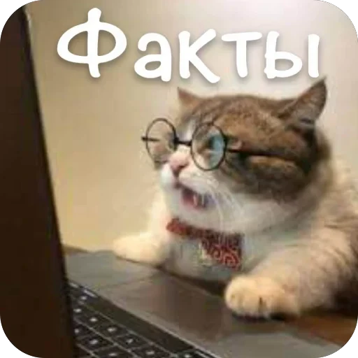 🫥 Стикер «This is my» для Telegram