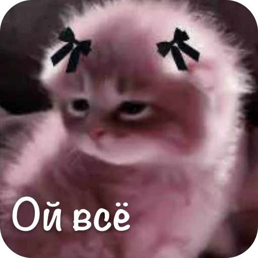 🫥 Стикер «This is my» для Telegram