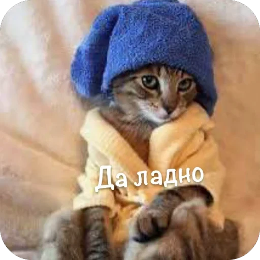 🫥 Стикер «This is my» для Telegram