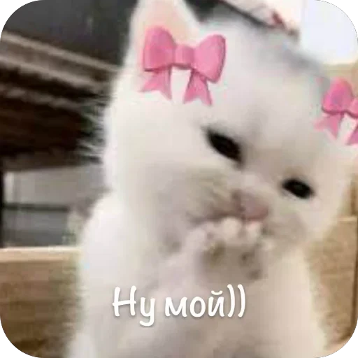 🫥 Стикер «This is my» для Telegram