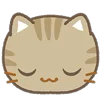 Стикер 54 😍 Cats - котики