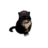 Стикер 22 Tiktok Memes