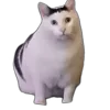 Стикер 42 Tiktok Memes
