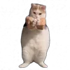 Стикер 44 Tiktok Memes