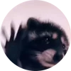 Стикер 3 Tiktok Memes