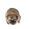 Стикер 28 Tiktok Memes