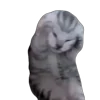 Стикер 30 Tiktok Memes
