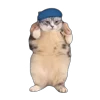 Стикер 11 Tiktok Memes