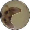 Стикер 5 Tiktok Memes