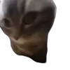 Стикер 14 Tiktok Memes