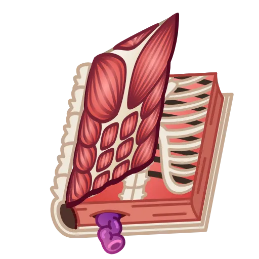 Стикер 33 Timeless Book