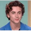 Стикер 26 Timothée Chalamet